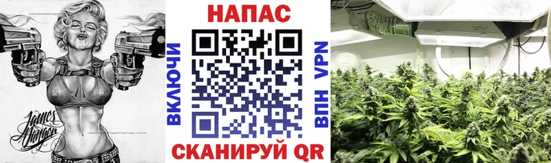Марихуана планчик ссылка на мегу как зайти Дмитров
